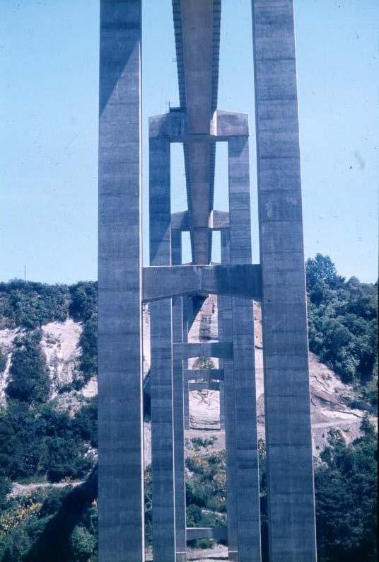 Bridge, 1979 World