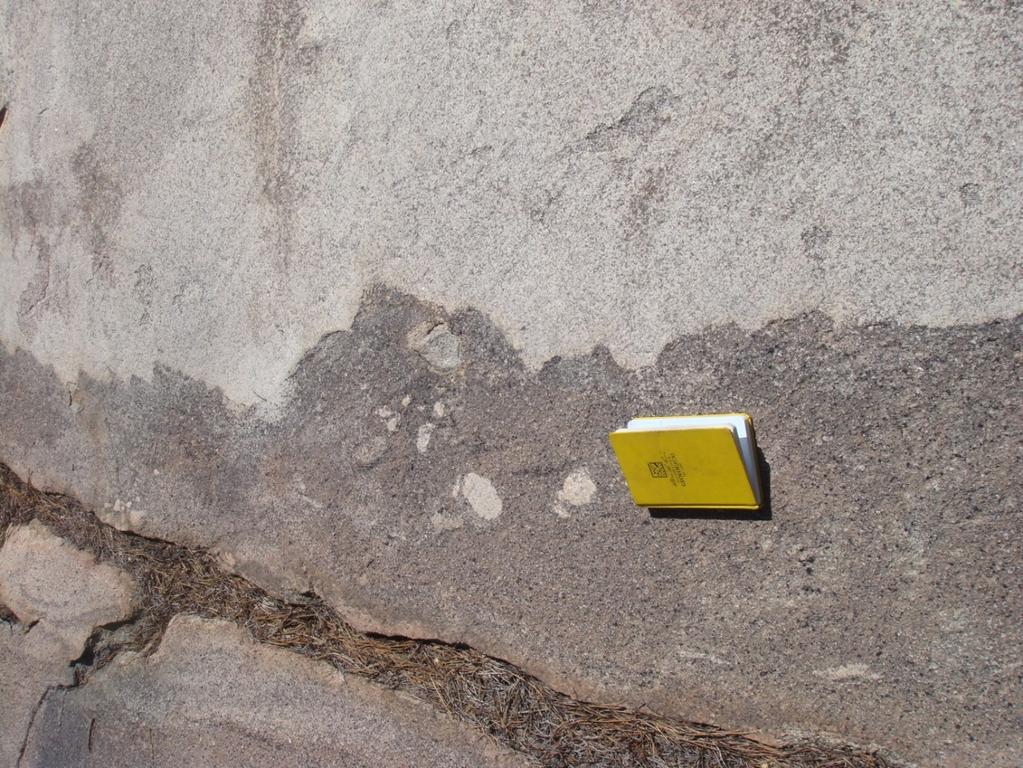 Figure 8. Small xenoliths of Taft Granite in mafic body.