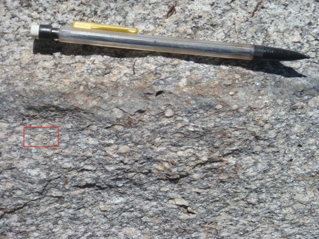 Figure 17. Protomylonitic Mt. Hoffman granodiorite in shear zone.
