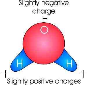 Water is polar because oxygen pulls more electrons towards itself so it has a