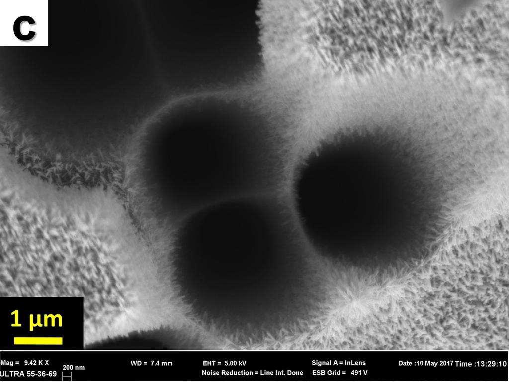 Fig. S5 Extra SEM data of 3D hierarchical porous structure of Si/ZnO: (a) 1000x magnifications