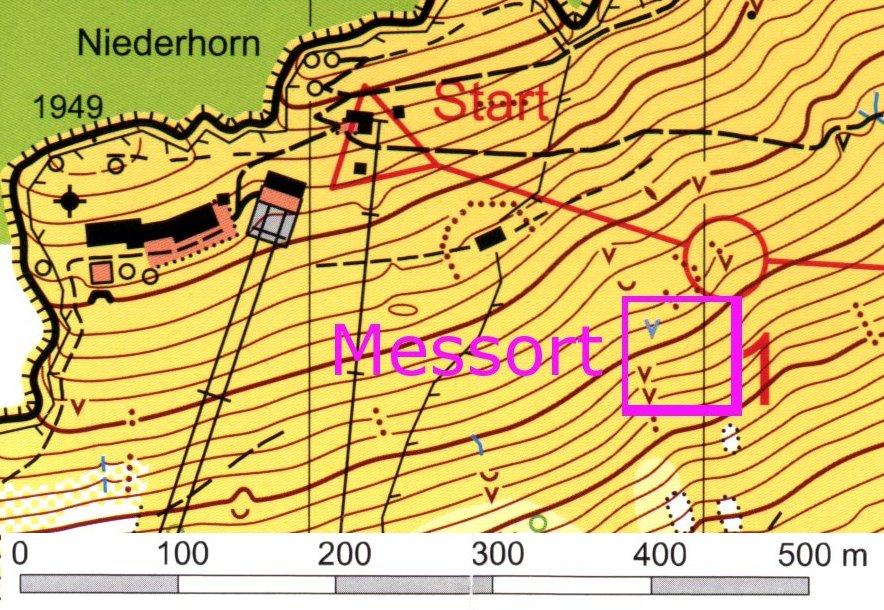 Figure 1: Locality of field site on orienteering map of the Niederhorn slope. Contour lines are drawn at 5 m intervals. Map copyright owner: OLG Thun.