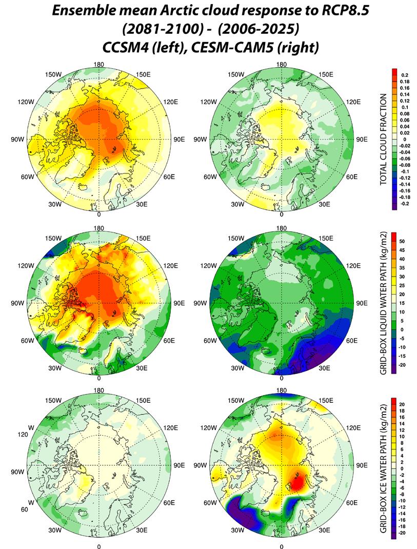 Evidence that negative Arctic shortwave cloud feedbacks affect Arctic warming CESM-CAM5 has smaller Arctic