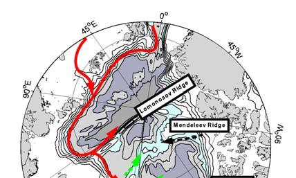 Global role of Arctic Freshwater A Freshwater source for the Atlantic Ocean