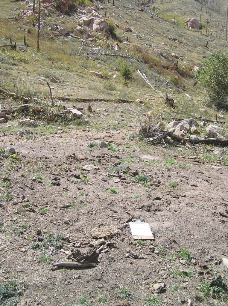 This 2006 photo shows a site at the upper boundary of private land. In 2006 the area was desert-like as a result of overgrazing and drought.