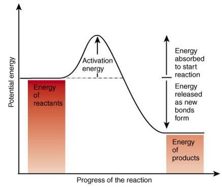 Atoms, ions & molecules are continuously moving & colliding Activation Energy Activation energy is the collision energy needed to break bonds & begin a reaction What