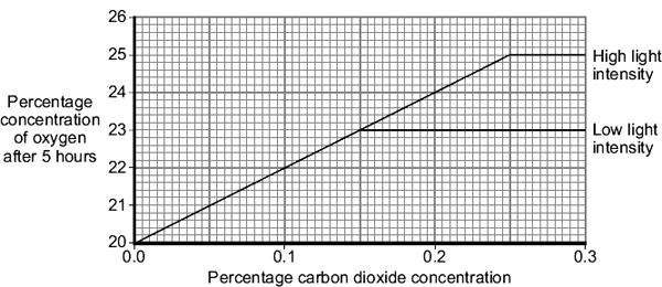 (a) (i) Describe the effect of increasing carbon dioxide concentration on the rate of photosynthesis at low light intensity. Explain the effect that you have described.