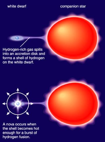 Accretion of gas onto white dwarf can lead to H fusion on surface Star becomes much