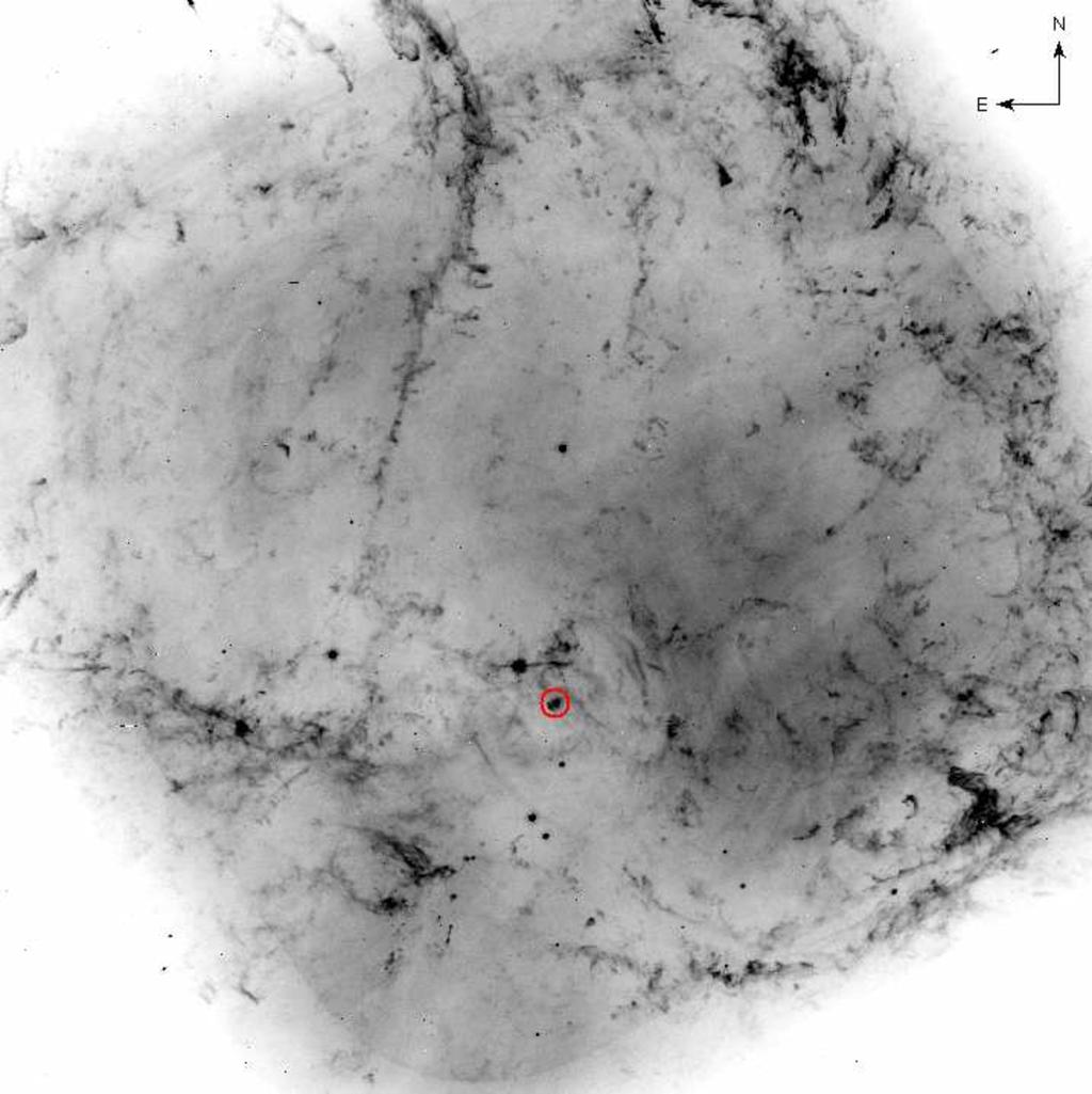 Nebula polarization Moran et al. 2013 II Polarization measurements show azimuthal magnetic field.