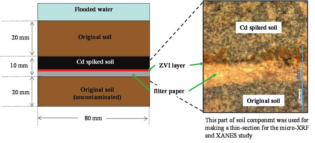Soil incubation and the soil thin-section for the μ-xrf and μ-xafs study Fig.