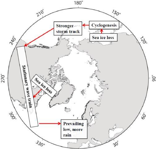 , 2013) Links between sea ice loss (in the Sea of Okhotsk, Hudson Bay, and Labrador Sea) and European summer precipitation. Coumou et al.