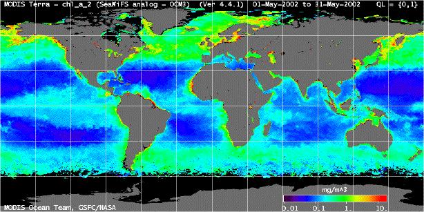 MODIS Sea Surface