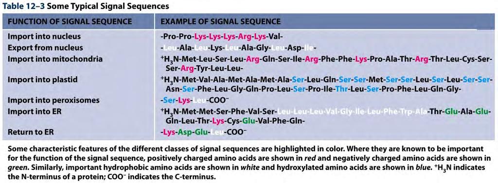 Typical Signal Sequences (Zip codes)