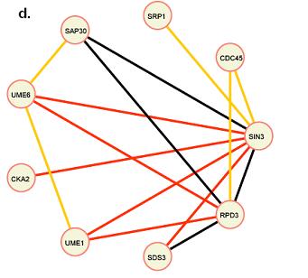 Protein Complex Identification by Supervised Graph Clustering Yanjun Qi 1, Fernanda Balem 2, Christos Faloutsos 1, Judith Klein-