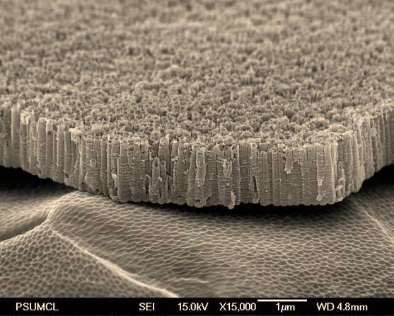 Titania nanotube array architecture Vertically