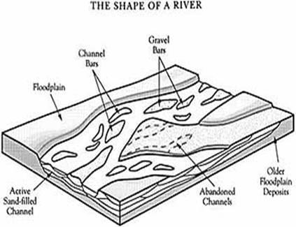 Meandering streams are moderate to low energy streams with sinuous channels. Because of their sinuosity, the velocity of water is different in different parts of the channel.