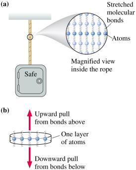 4 Figure (a) shows a heavy safe hanging from a rope The combined pulling force of billions of stretched molecular springs is called tension Tension pulls equally in both directions Figure (b) is a