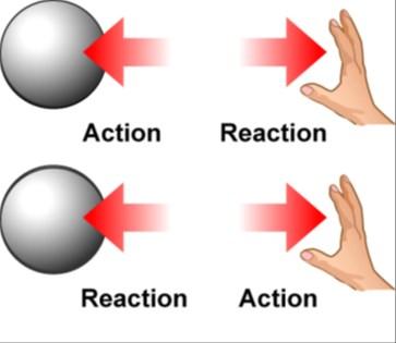 Newton's Third Law of Motion: Law of Action-Reaction Question 2 Describe the action and reaction forces at work when a volleyball player serves the ball.