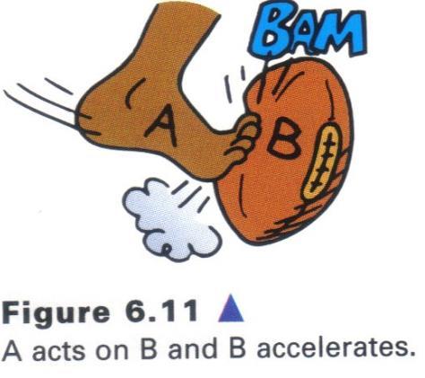Do action and reaction forces cancel each other out? Since action and reaction forces are equal, why don t they cancel each other out?