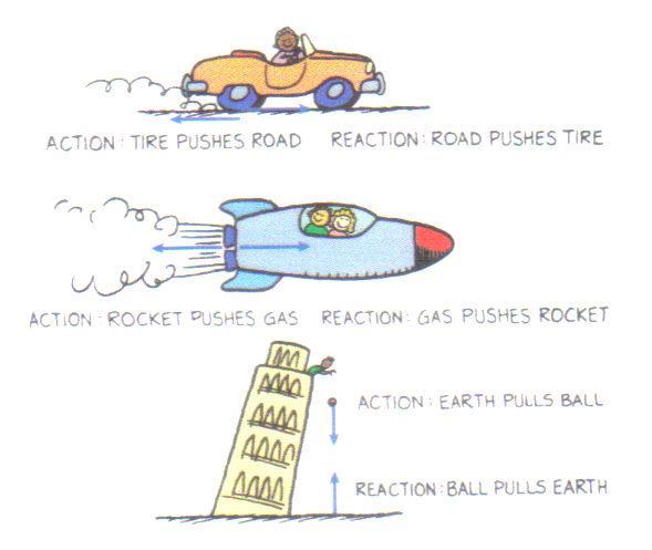 Examples of Newton