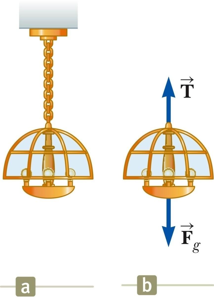 A lamp is suspended from a chain of negligible mass.