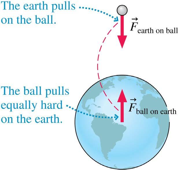 Reasoning with Newton s Third Law When you release a ball, it falls down. The action/reaction forces of the ball and the earth are equal in magnitude.