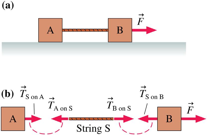 The Massless String Approximation Often in problems the mass of the string or rope is much less than the masses