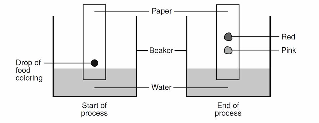 7. Given the diagram representing a process being used to separate the colored dyes in food coloring: Which process is represented by this diagram?
