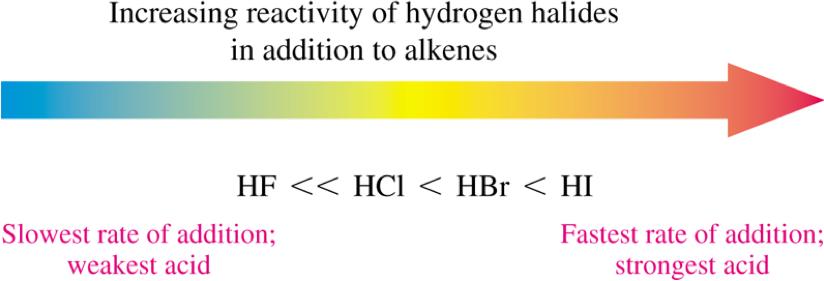 Electrophilic Addition of X + δ + δ X hydrogen halide addition X