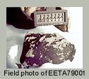1 of 5 posted July 20, 1999 An Adulterated Martian Meteorite Written by G.