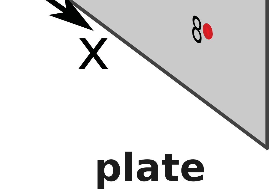 A microphone positioned above a source does measure the contribution of vibrations of the plate around this point.