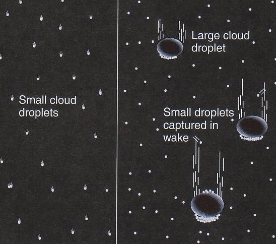 Rain formation in warm (not frozen) clouds In a supersaturated environment, activated cloud drops grow by water vapor condensation It takes many hours for the cloud drop to approach rain drop size