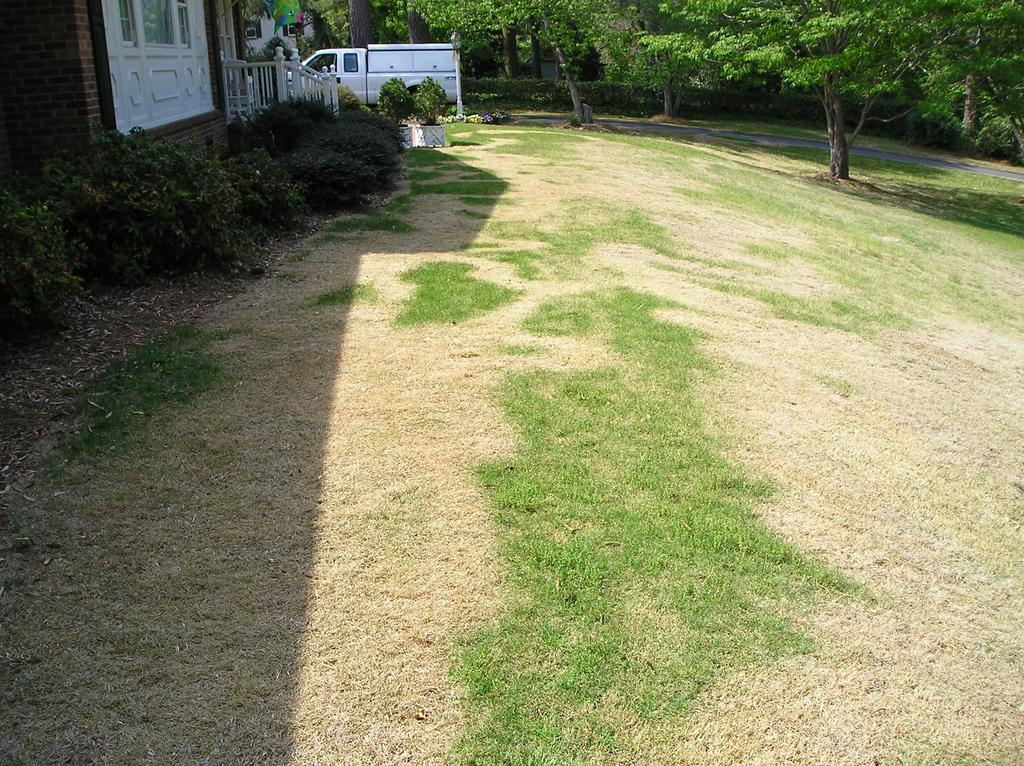 Effective Management of Hard-to- Control Weeds in Zoysiagrass Lawns Apr 25, 2007 Winter