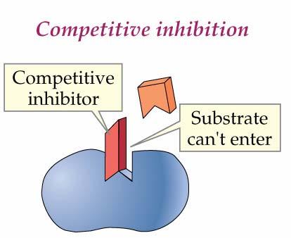 Inhibitions are further classified as: Competitive