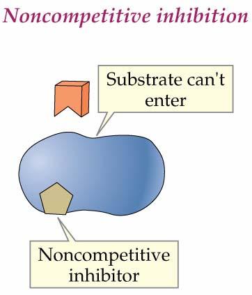 Noncompetitive inhibition, if the inhibitor