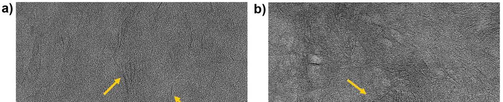 Figure S8 Figure S8 Transmission electron micrograph (TEM) images of ultrathin films of dried C- hydrogels at a