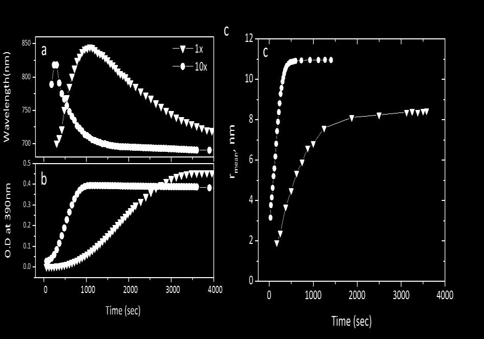 Mean Au nanorod radius as function of time for 1S/1G and 10S/10G reaction obtained by fitting scattering data from growing nanorod solutions.
