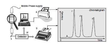 The principle of analysis by chromatography The chromatogram, describes the passage of components.