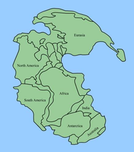 theorized that Earth s continents were once part of a large super continent (Pangaea) and