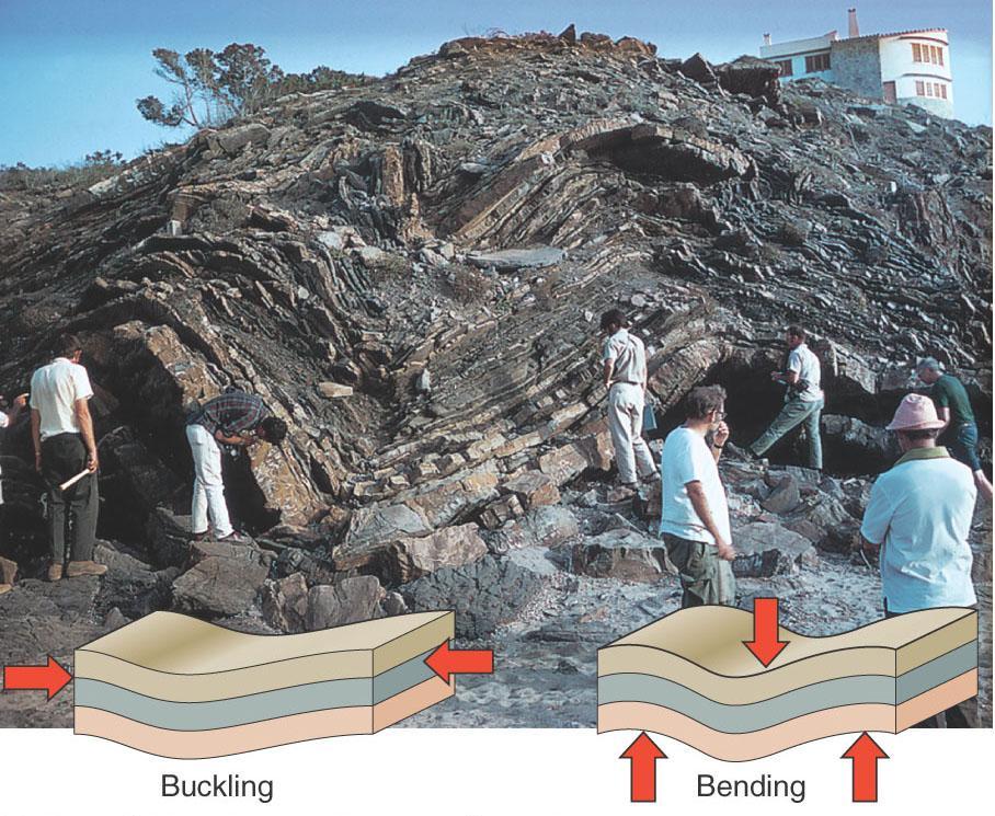 Folding bending of rock layers because of stress in