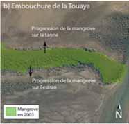 Touongo river: similar evolution with smaller features (fig.d).