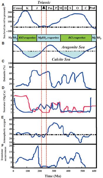 Carbonate changes through Geologic Time Most dolomite is not a primary precipitate but forms as a slow alteration of original calcite Ocean conditions that favor