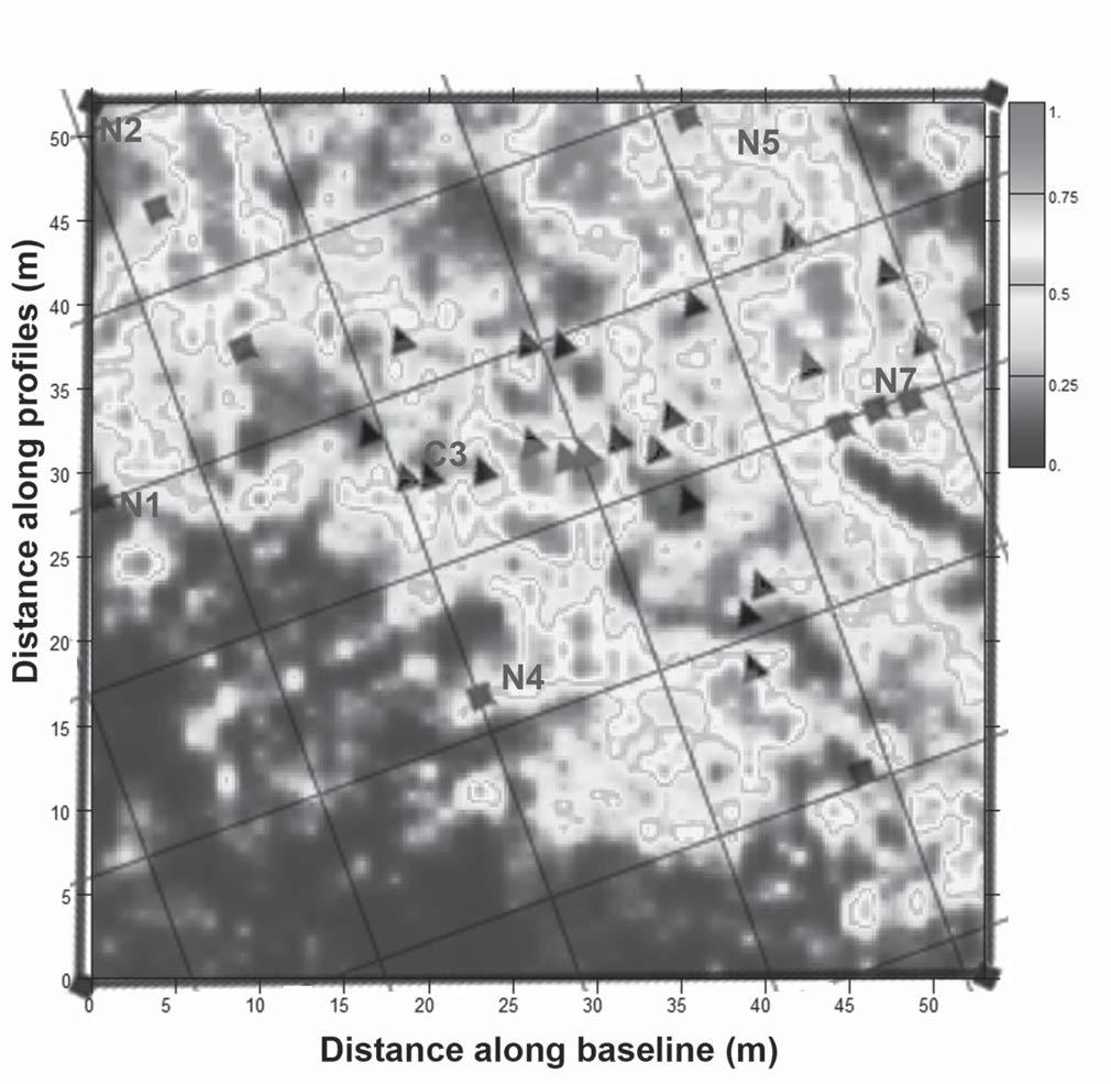 Identification of Unmarked Graves at Two Historic Cemeteries Thieme 271 Figure 13. Map of shallow subsurface anomalies overlaid on 15.5-17.