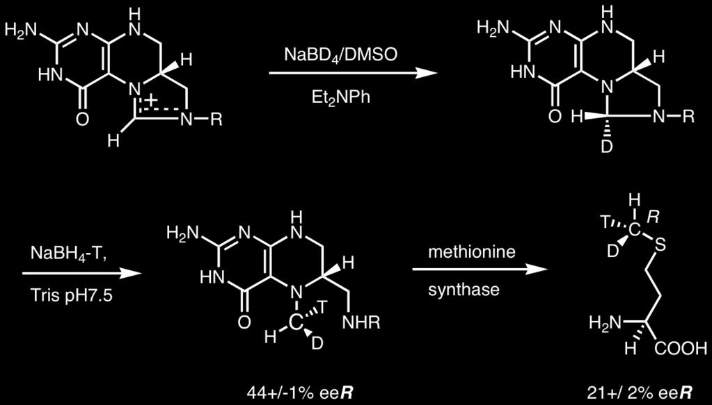 P. Wipf - Chem 2320 12 2/8/2006 Mechanism of cobalamin-dependent methionine synthase Preparation of enantiomerically