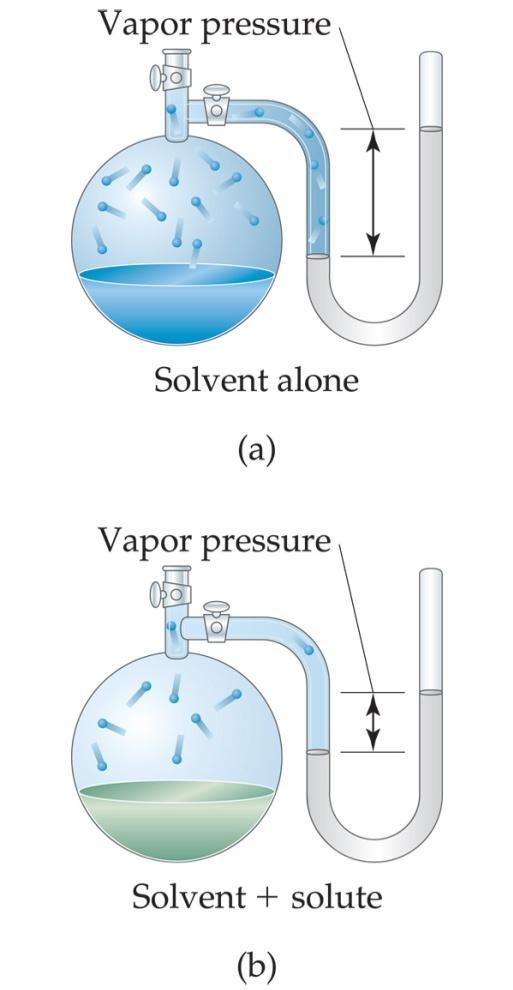 Vapor Pressure Because of solute-solvent intermolecular attraction, higher concentrations of nonvolatile solutes make it