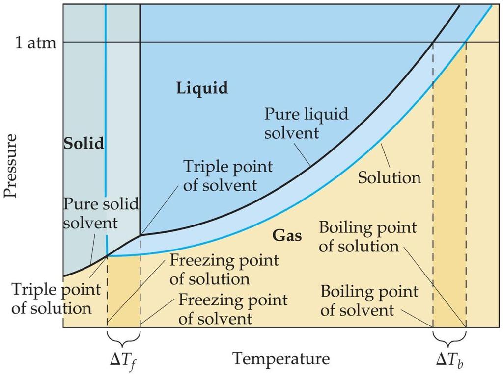 Boiling Point Elevation and Freezing Point Depression Nonvolatile solute-solvent interactions