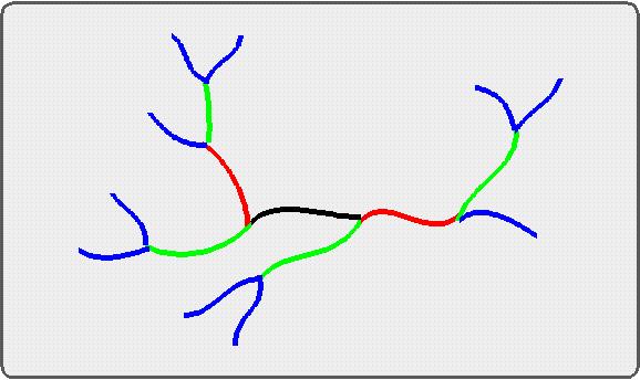 Represent a polydisperse (branched) polymer