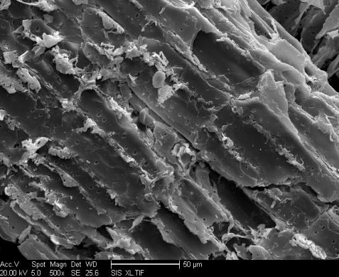 Fig. 4 SEM of soybean straw and activated carbon Observation of SEM diagrams can be found that the appearance of the soybean straw materials show close shape structure, After activator soaking