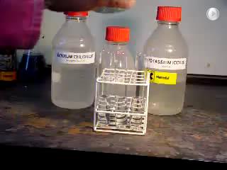 Reacting chlorine with: potassium chloride solution potassium