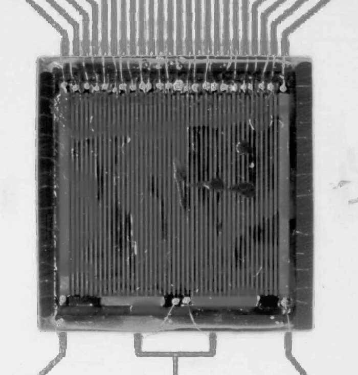 Fig. 1. Prototype CZT strip detector. The anode side is shown, with its 22 anode strips with 500 µm pitch and 22 interlaced steering electrodes. Total size is 12 12 2mm 3. Fig. 2. Detector electrode and bias network connections.